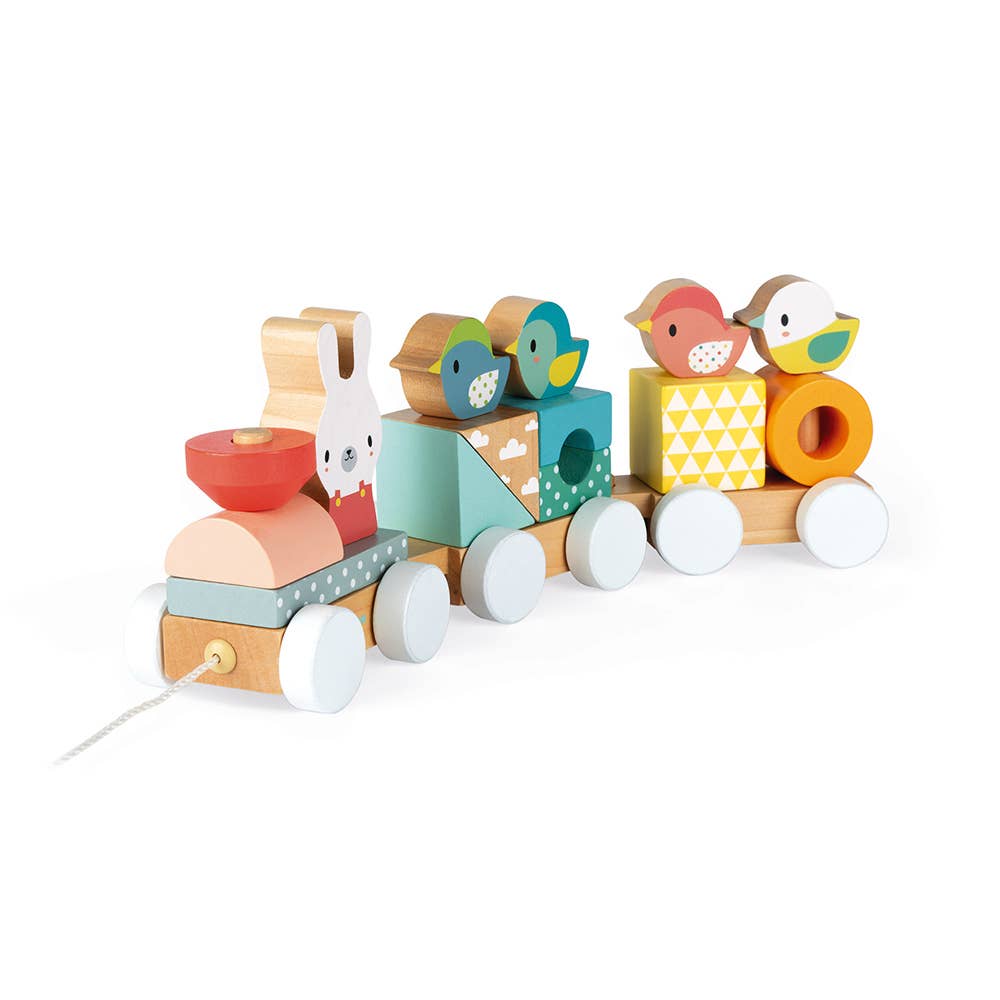 Pull Along Train