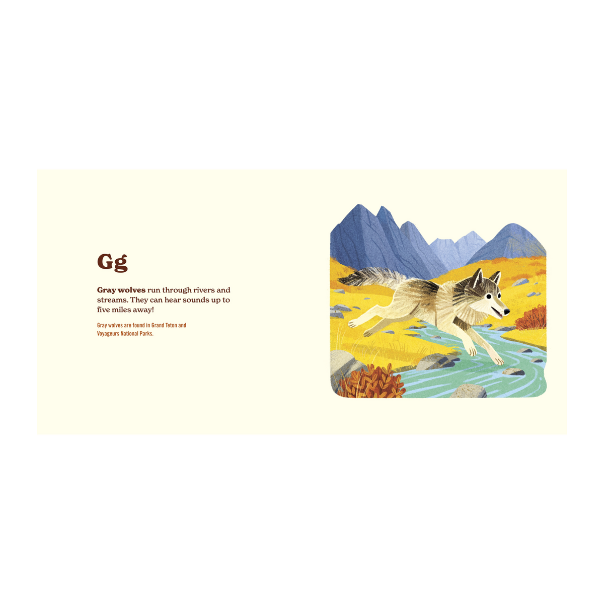 Animals of the National Parks Book