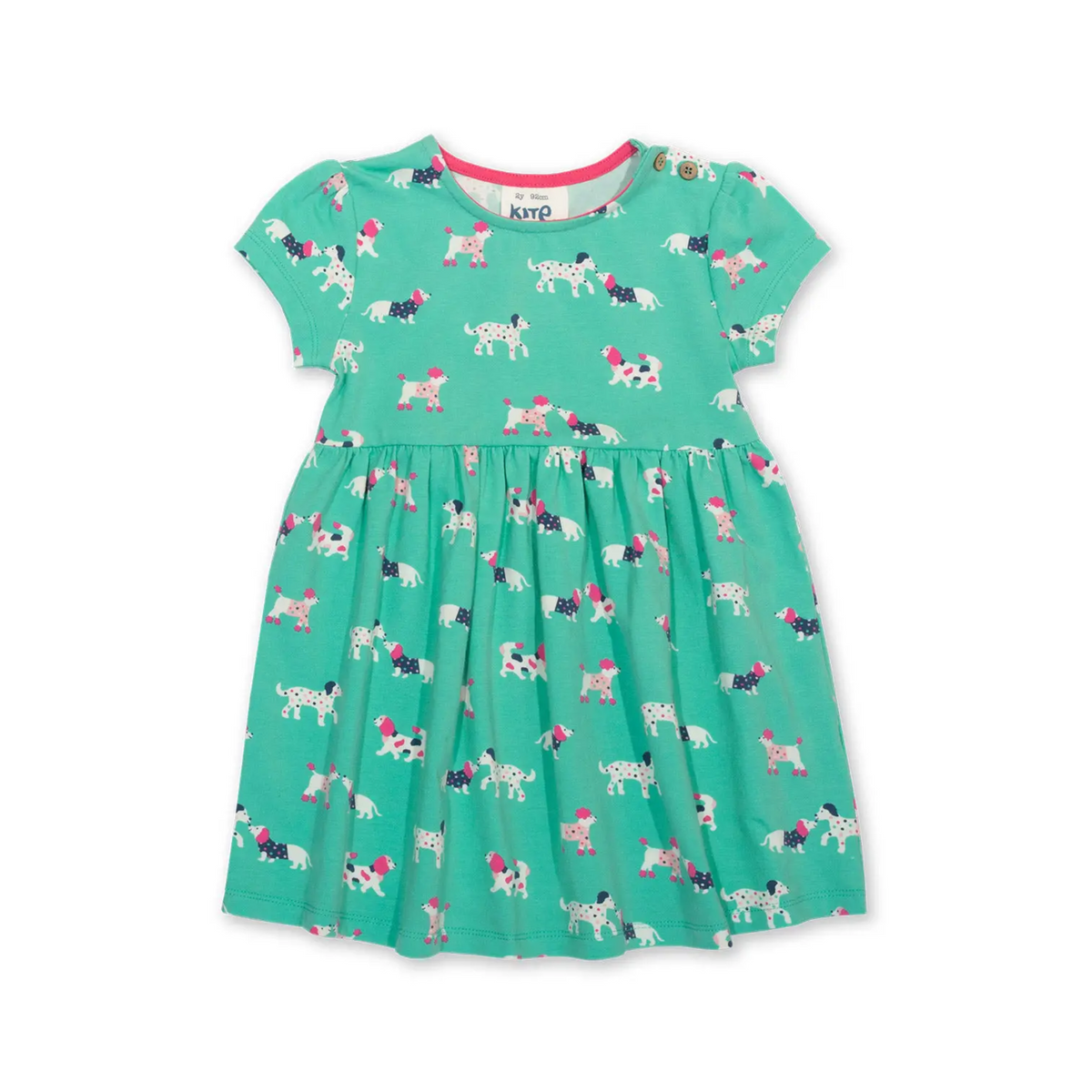 Flora and Friends Dress