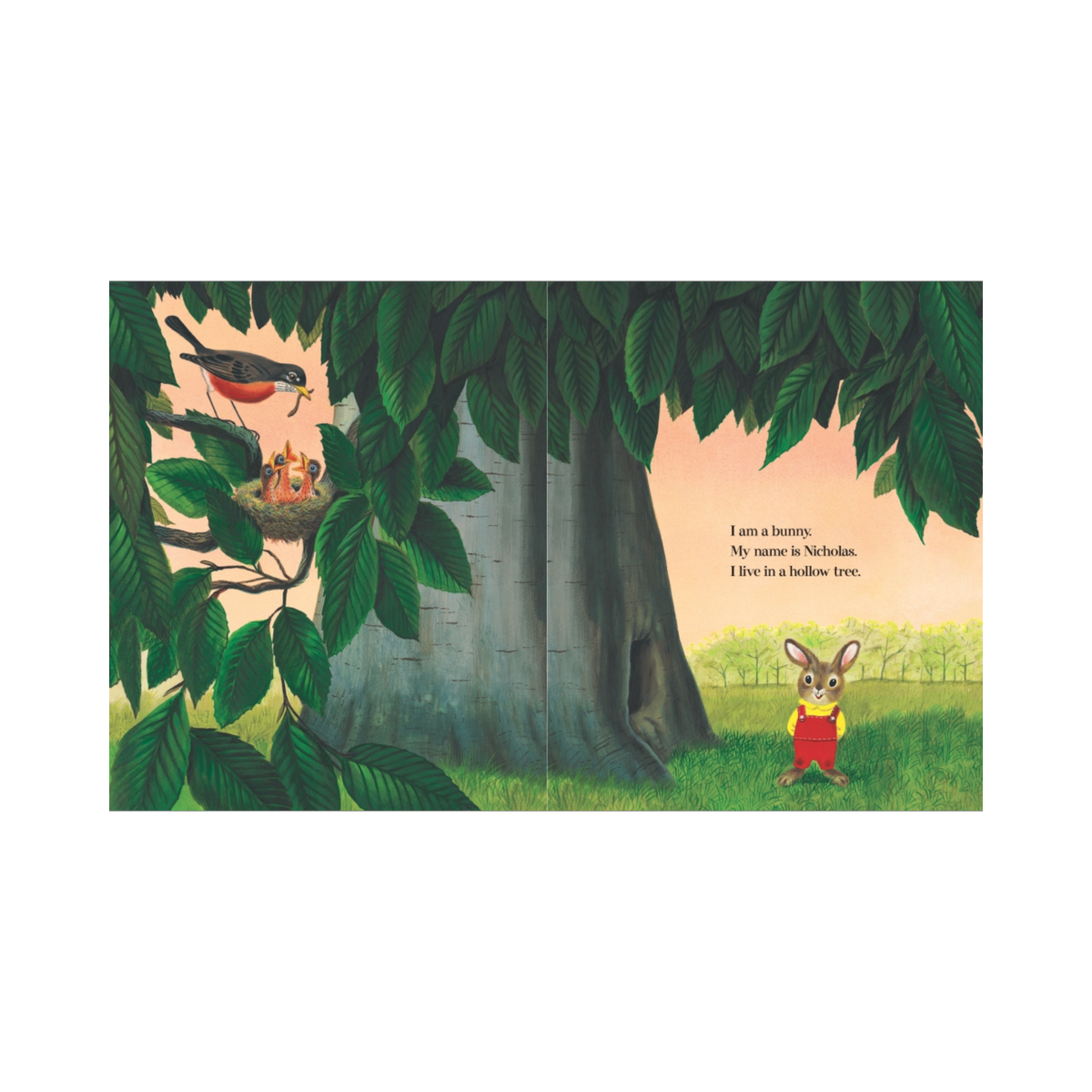 I Am a Bunny Book