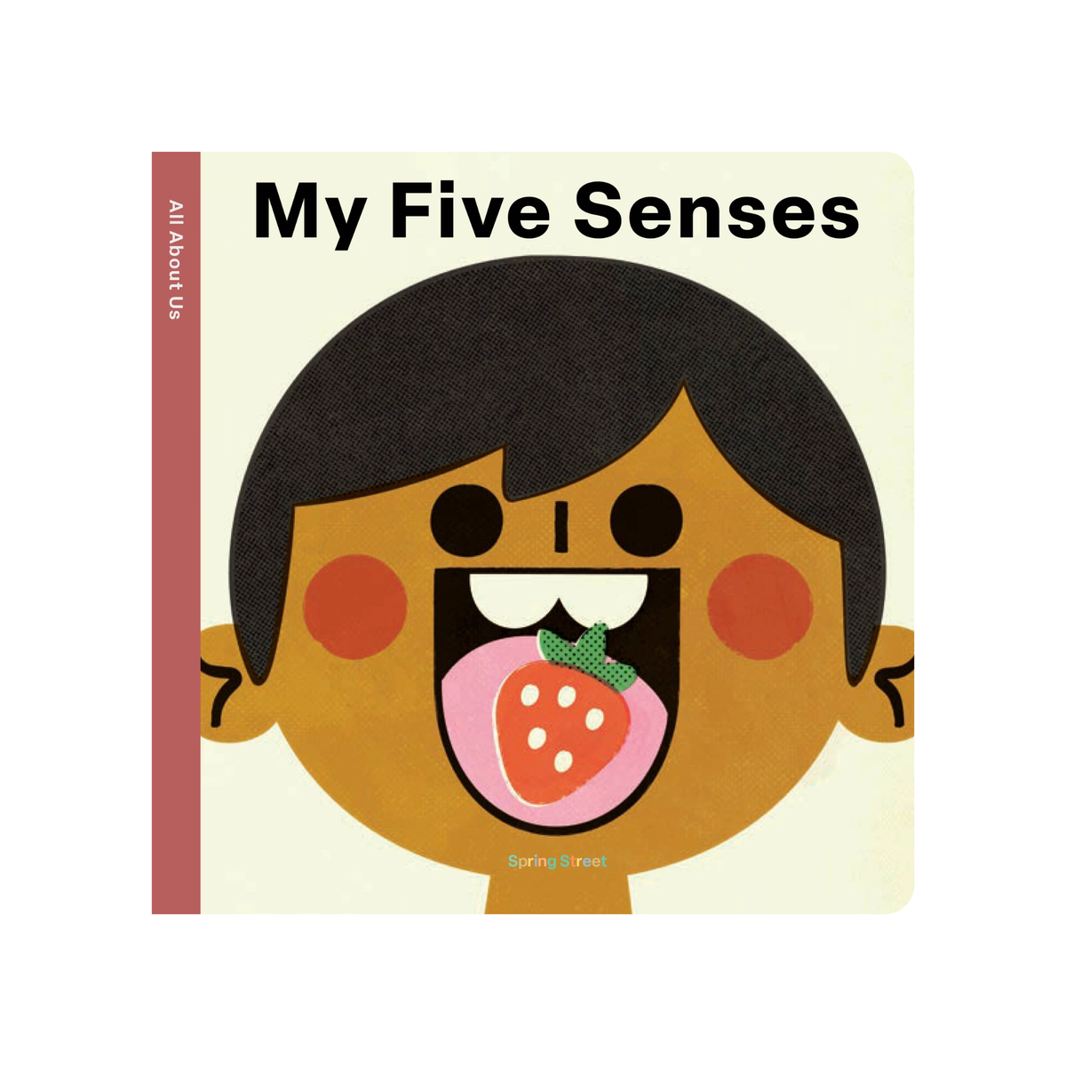 Spring Street All About Us: My Five Senses Book