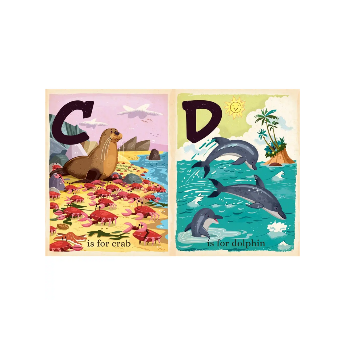 O Is For Ocean Book