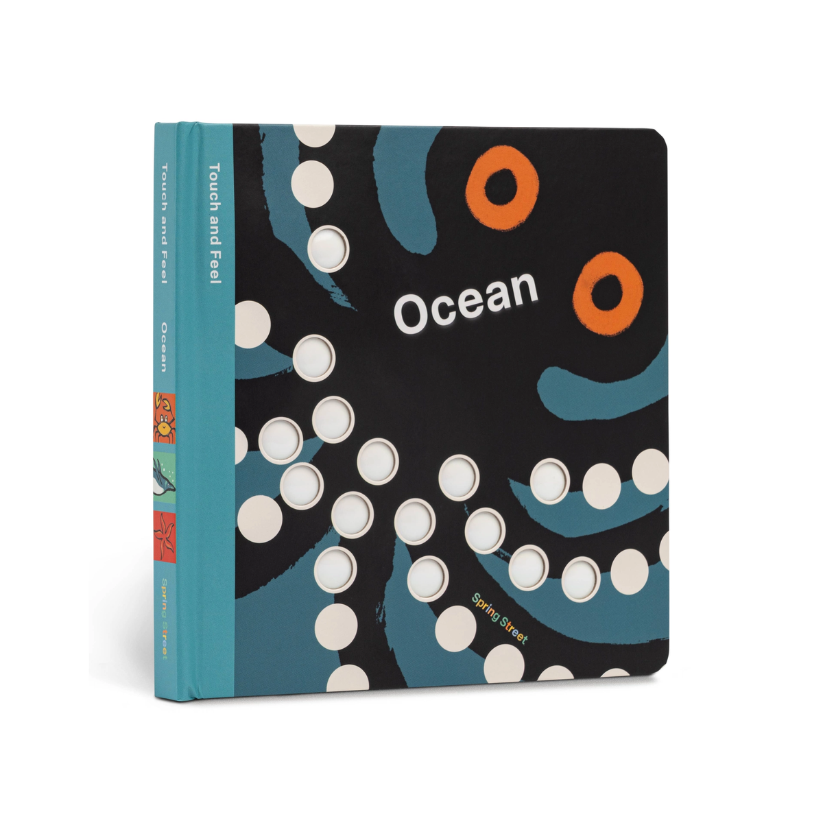 Spring Street Touch and Feel: Ocean Book