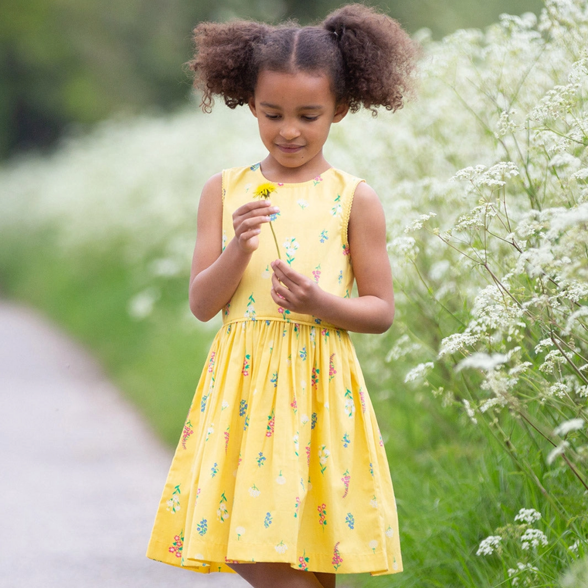 Wilds and Weeds Dress