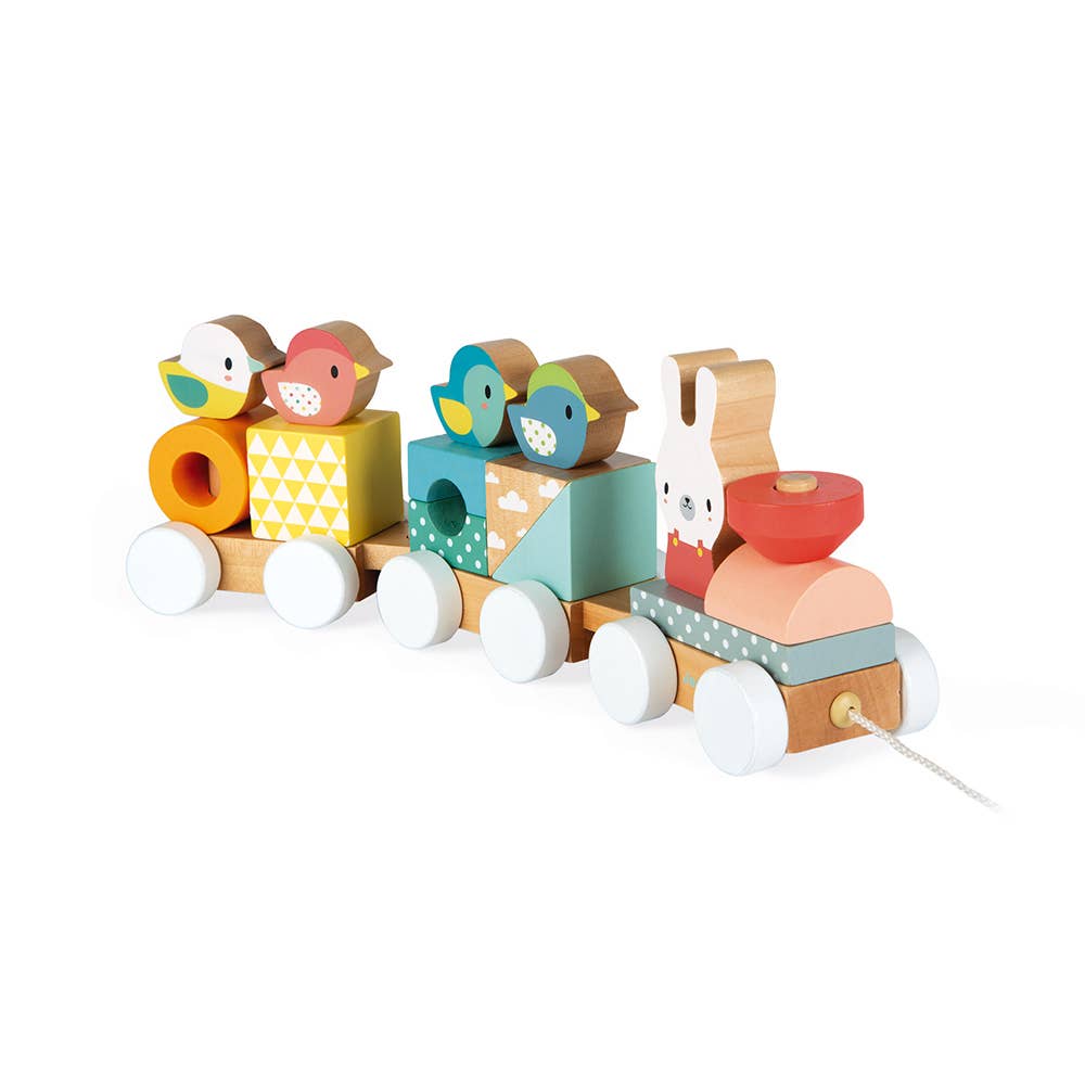Pull Along Train