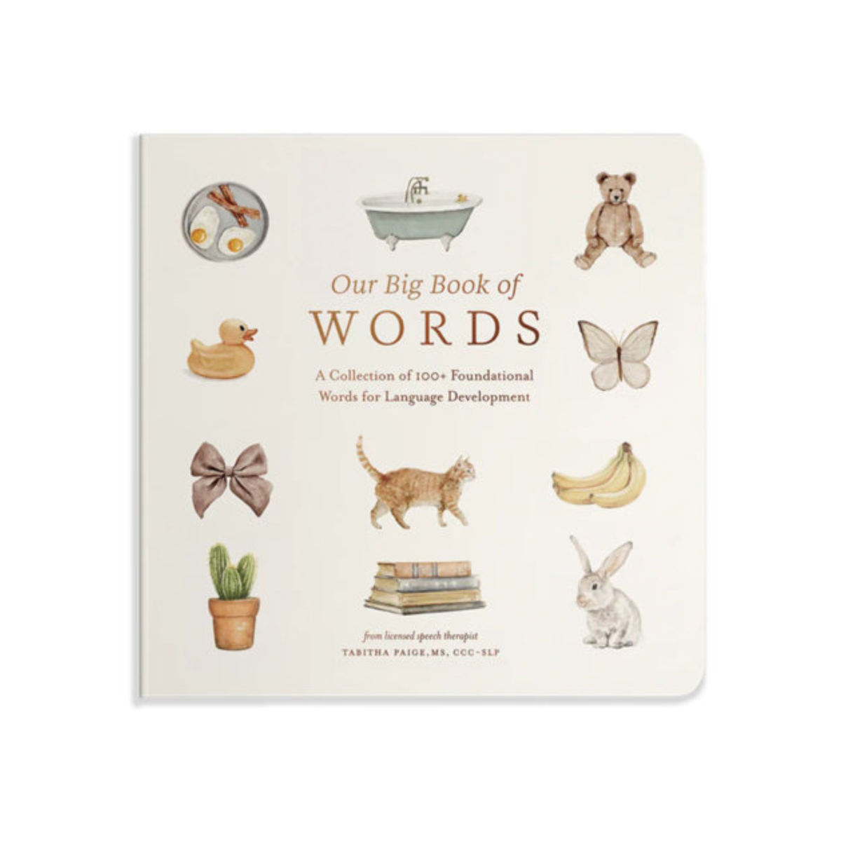 Our Big Book of First Words Book